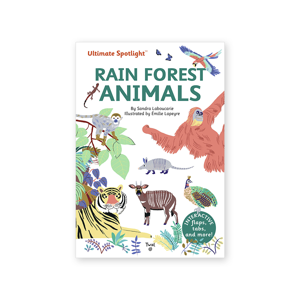 Ultimate Spotlight: Rain Forest Animals 대표이미지